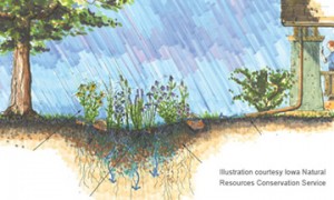Energy efficiency benefits of sustainable landscape architecture practices, like planting trees
