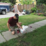 fertilizing a tree fertilizing a tree