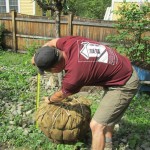Planting a tree Planting a tree