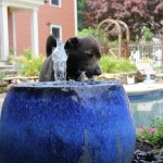 creating an outdoor space