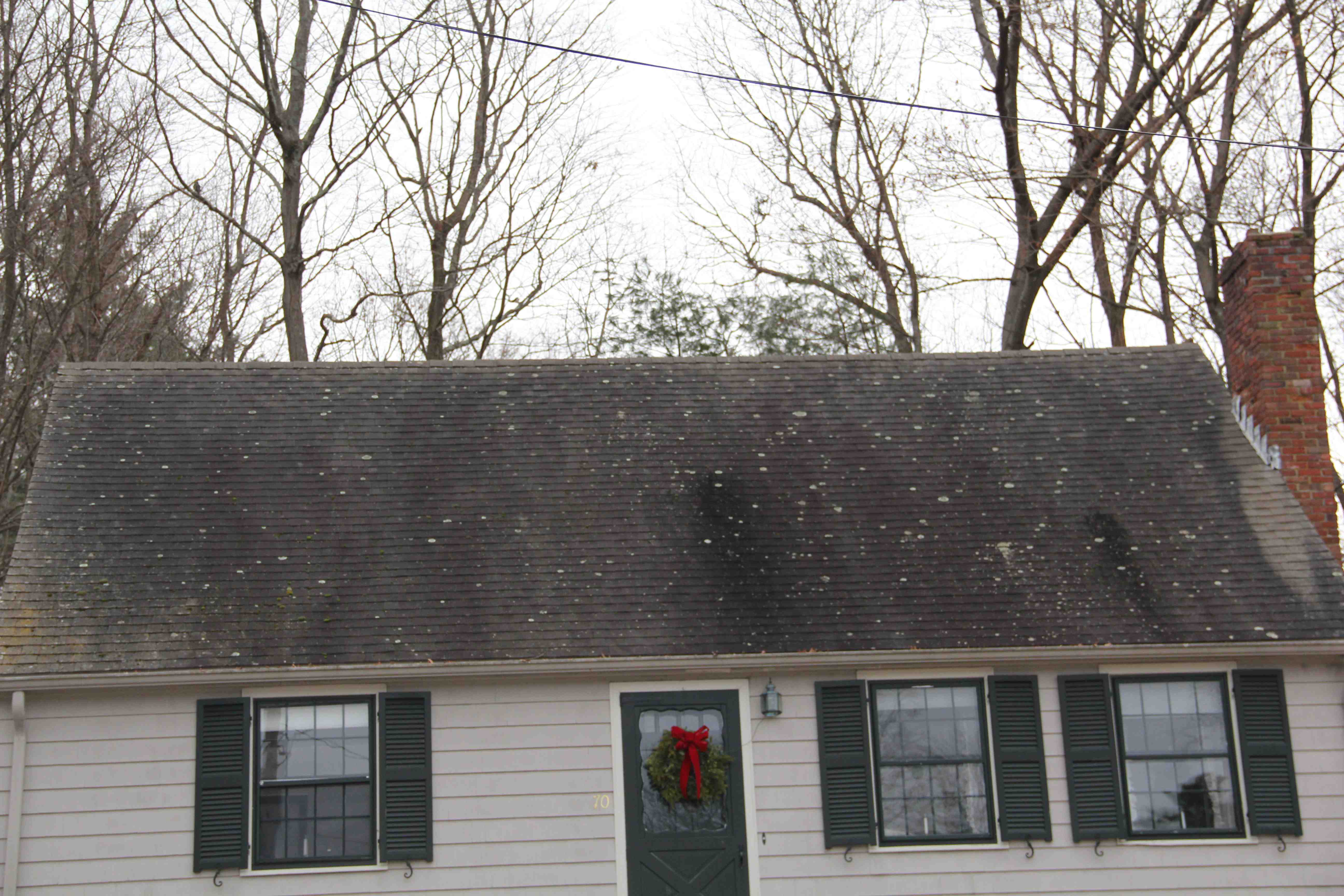 Remove Algae Stains Off Roof