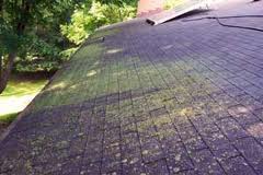 Remove Algae Stains Off Roof