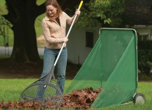 Fall Leaf Removal Tips 5
