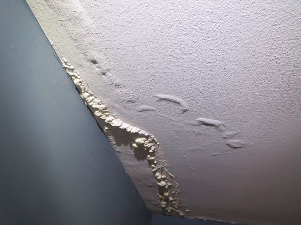Water Damage and Mold