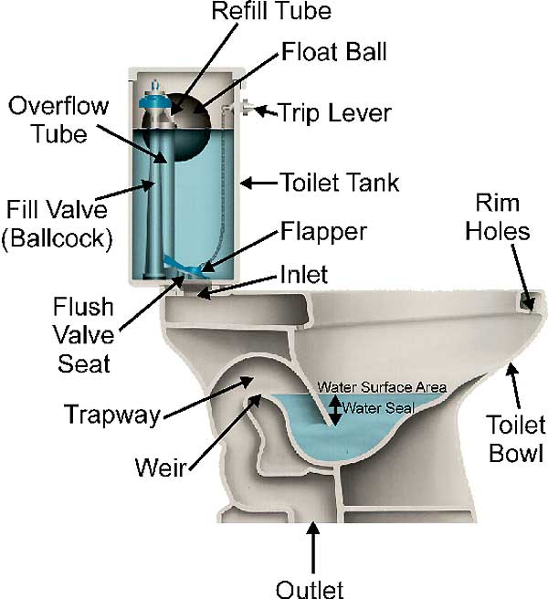 toilet cut out diagram