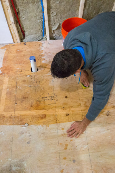 removing pet urine odor from wood sub-floor 