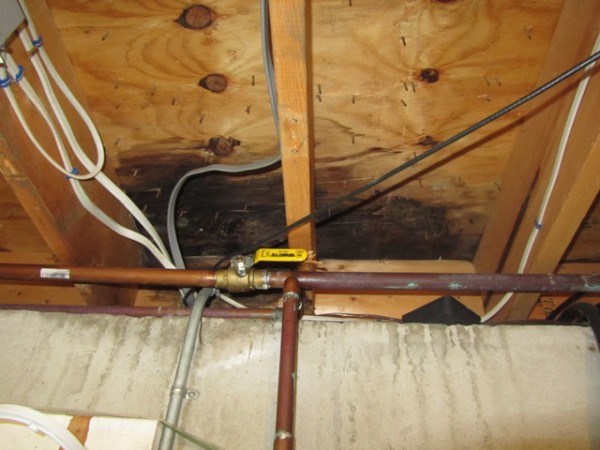 Best Practices for Basement Insulation