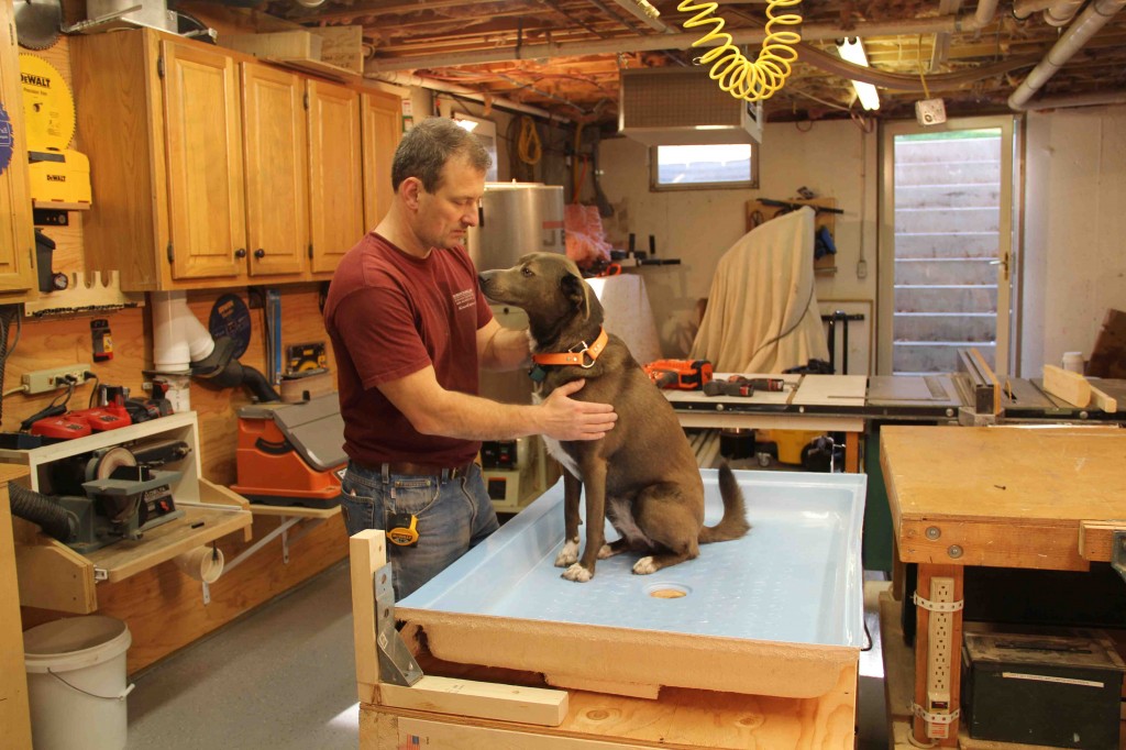 How To Build A Dog Wash Station Concord Carpenter