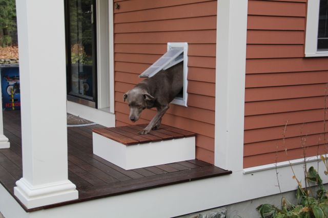 Building A Step For Dog Door, Install Dog Door In Garage Wall