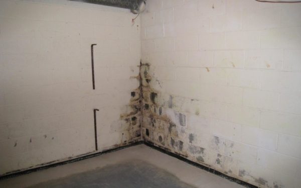 Basement Insulation Best Practice To, How To Treat Moldy Basement